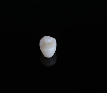 Why Dental 3D Printing Is a Smart Investment
