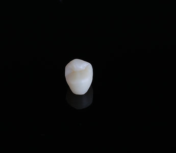 Why Dental 3D Printing Is a Smart Investment