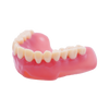 CURO ProDenture